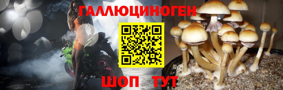 Галлюциногенные грибы ЛСД  Вход с VPN  Верхний Уфалей 